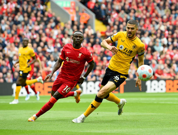 的贡献来稳 的贡献来稳