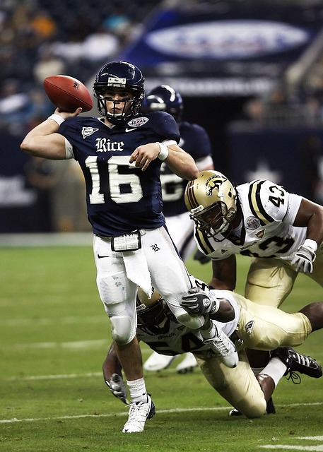 让他成为太 让他成为太