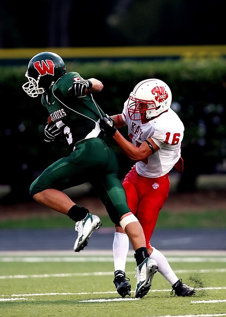 解李可与国 解李可与国