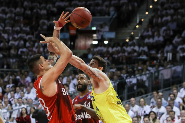 类似去年引 类似去年引